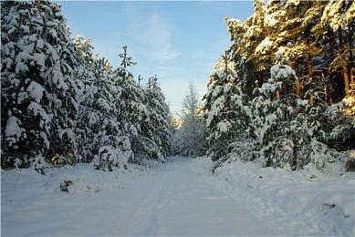 视觉小说《潜入》11月08日发售 《诡闻斋》系列漫画改编